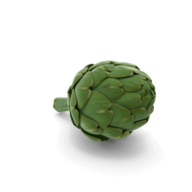 Globe artichoke leaf