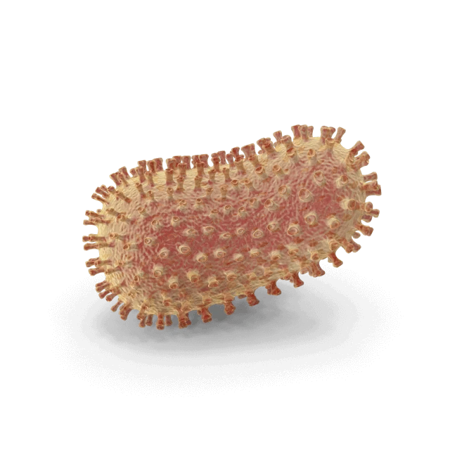 Lactobacillus Acidophilus  LA1 (10 billion CFU)