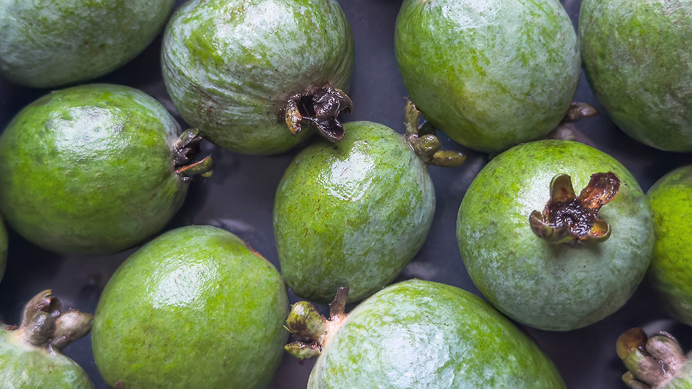 Feijoa Fruit: The Natural Gut-Metabolic Ally You’ve Never Heard Of (Until Now)