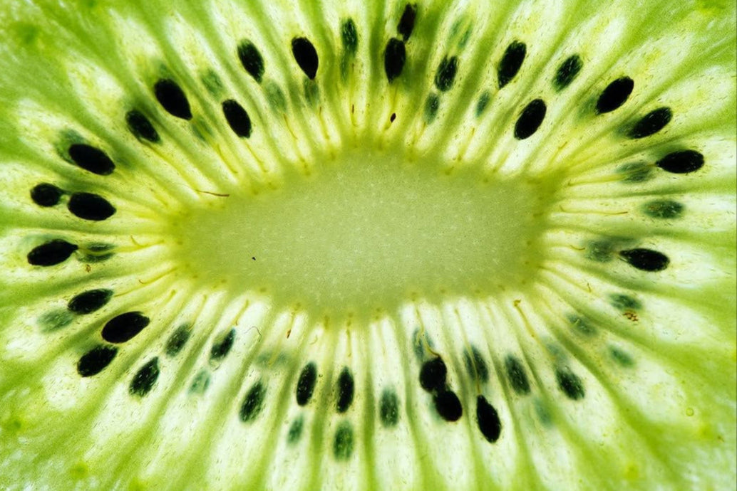 Close-up of a kiwi fruit slice showing green flesh and black seeds.
