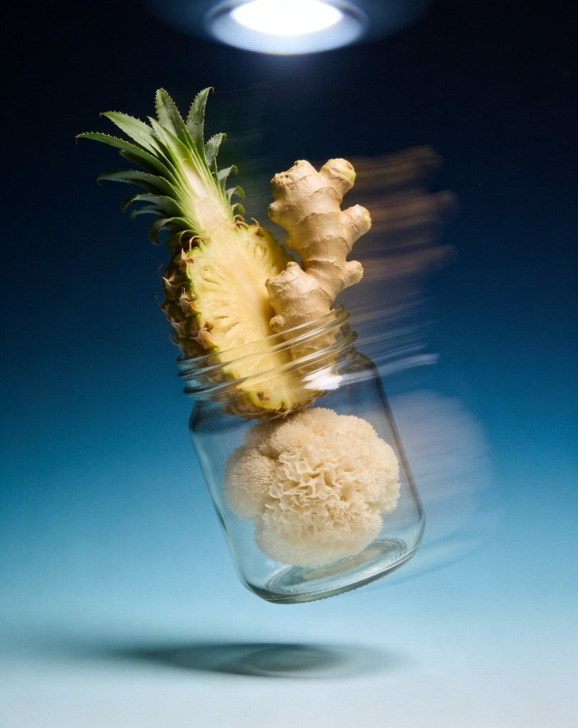 Whole-food ingredients including Lion's Mane — gut-brain axis and satiety signals